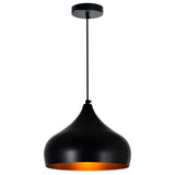 Dynamic 1 Light 13in Black Down Pendant
