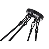 Arkansas 4 Light Black Chandelier