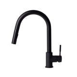 ZLINE Gemini Kitchen Faucet in Matte Black (GEM-KF-MB)