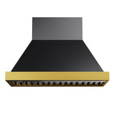 48 in. KUCHT 600 CFM Wall Mounted Range Hood in Titanium Stainless Steel with Gold Accents