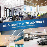 T8 4ft LED Tube/Bulb - Glass 18W 1800 Lumens 5000K Clear, Plug N Play, Double End Power - Ballast Compatible (Check Compatibility List)