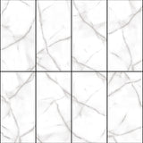 Mercan Silver 24 in. x 48 in. x 8.5 mm Polished Porcelain Floor and Wall Tile, Marble Look (15.5 sq. ft./Case & 2 PCS/case)