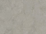 Ecostone Pre-Fab 32 X 90 Matte Porcelain Tile in Fossil Cross Cut