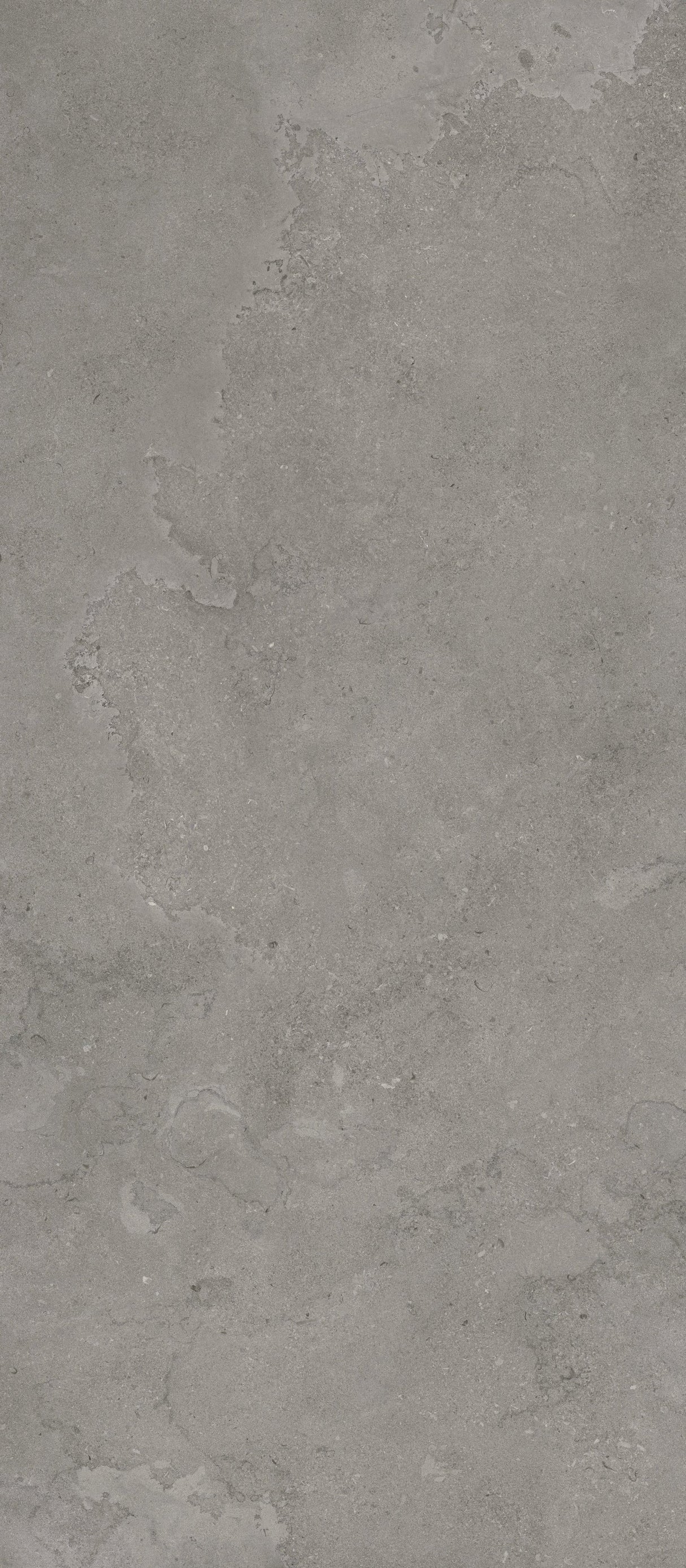 Ecostone 48 X 110 Matte Porcelain Tile in Cross-Cut Fossil