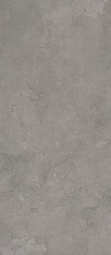 Ecostone 48 X 110 Matte Porcelain Tile in Cross-Cut Fossil