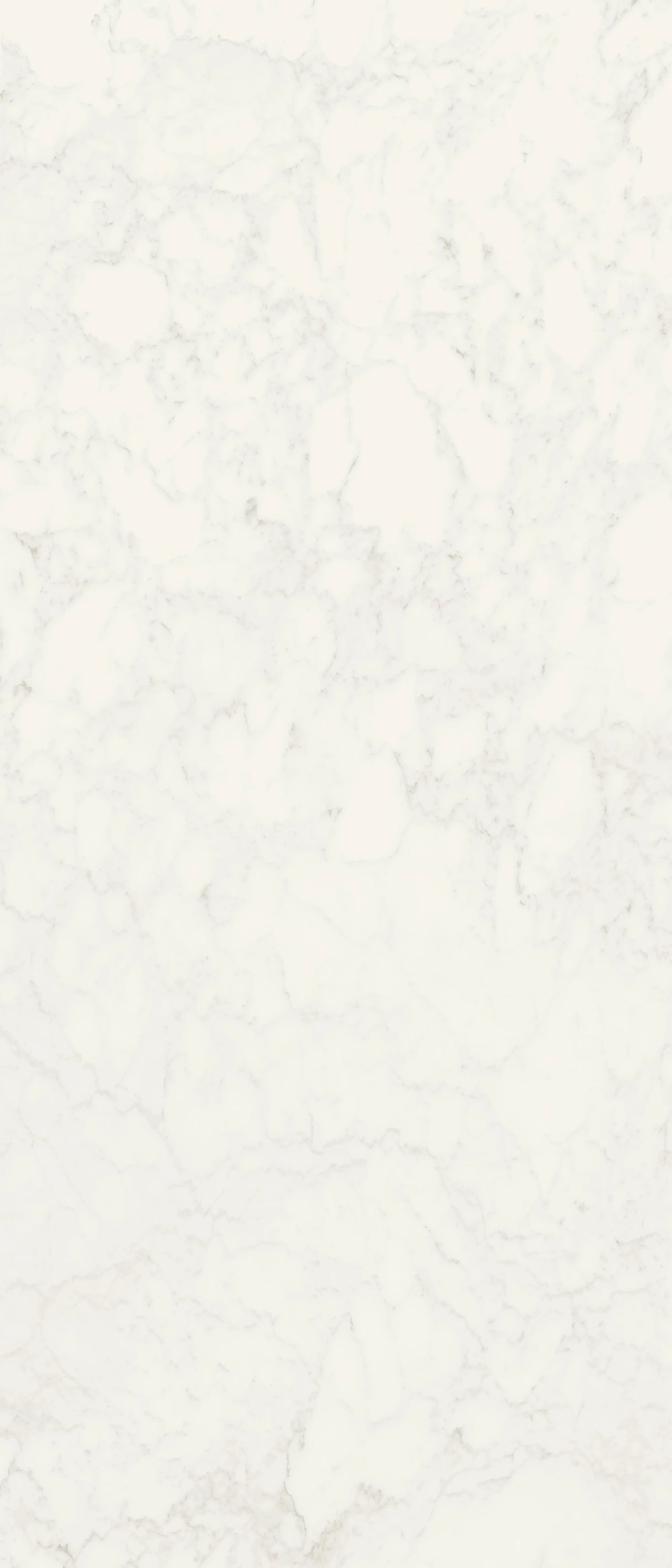 Jem 48 X 110 Polished Porcelain Tile in Adagio White