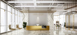 Jem 48 X 110 Polished Porcelain Tile in Aria Gold Bookmatch B