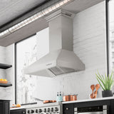 ZLINE 30" Professional Convertible Vent Wall Mount Range Hood in Stainless Steel (697-30)