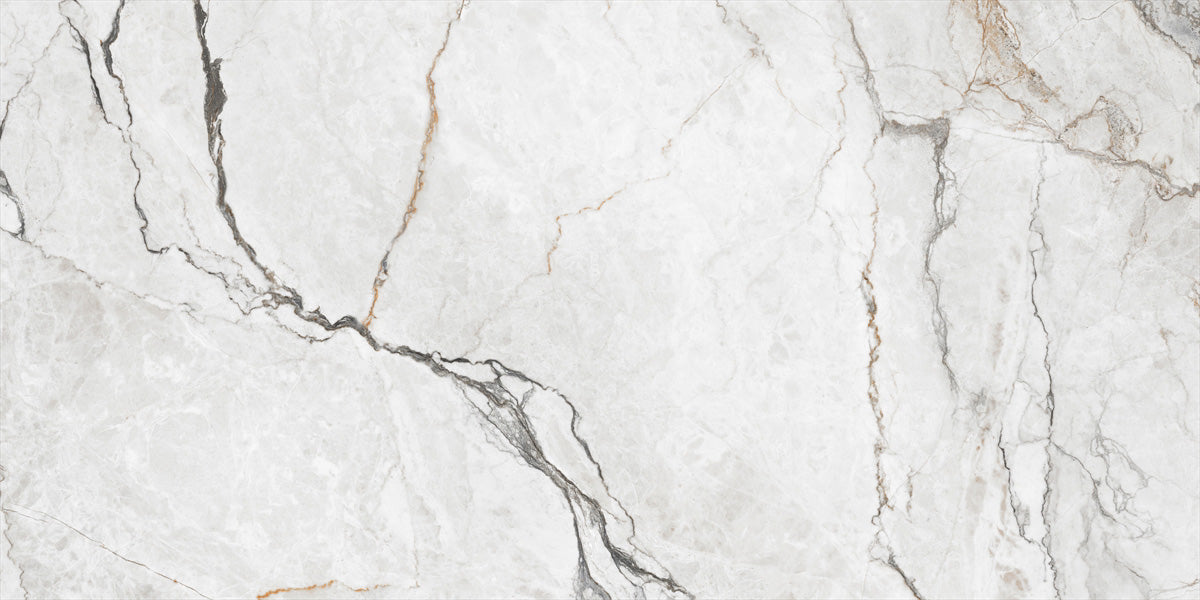 24 In. X 48 In. Orlando White  Polished - Porcelain - Wall & Floor Tile (15.50 Sqft/Case)