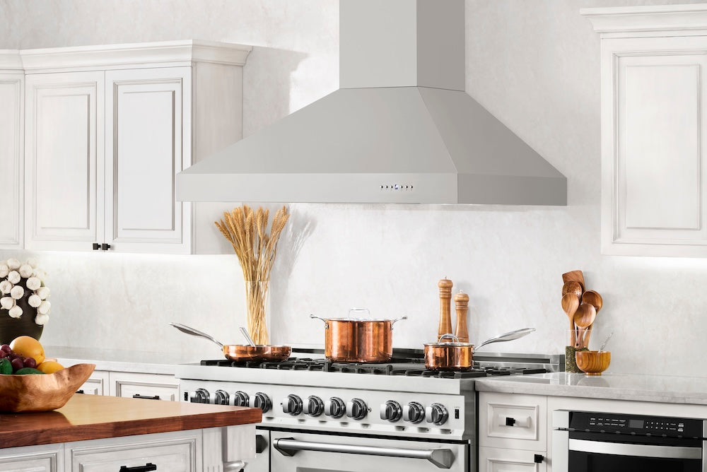 ZLINE 48" Ducted Wall Mount Range Hood in Outdoor Approved Stainless Steel (697-304-48)