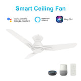 CALEN 48 inch 3-Blade Flush Mount Smart Ceiling Fan with LED Light & Remote