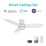 HOBART 48 In 3 Blade Smart Ceiling Fan With Integrated LED Lights With Google Home