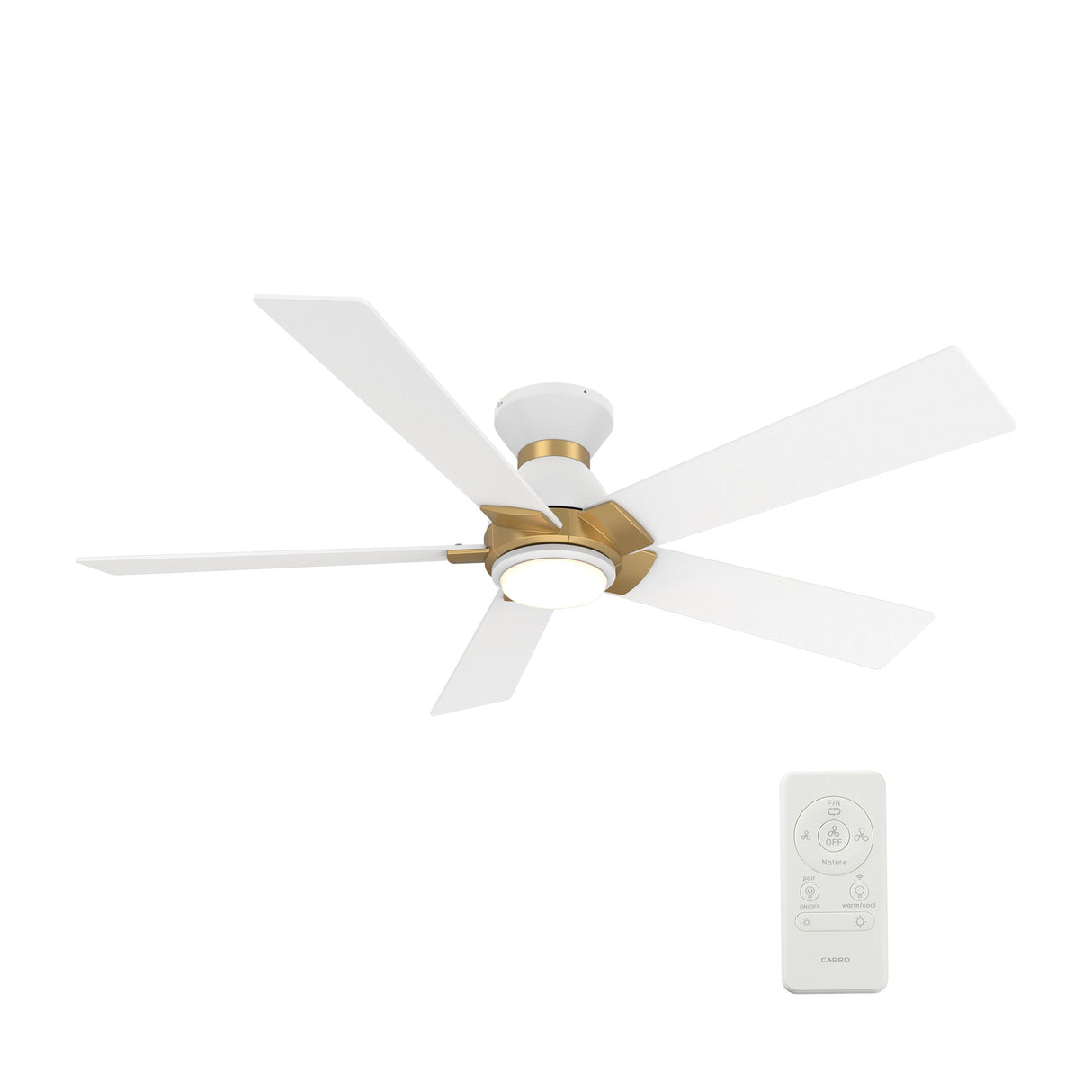 ASCENDER 48 inch 5-Blade Flush Mount Smart Ceiling Fan with LED Light & Remote