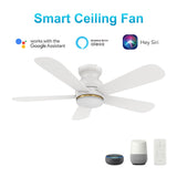 DUBOIS 48 In 5 Blade Smart Ceiling Fan With Integrated LED Lights With Google Home