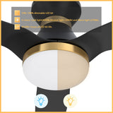 Spezia 52 Inch 3 Blade Flush Mount Smart Ceiling Fan With Led Light Kit Remote Black Black Gold Detail