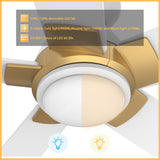 Ascender 52 Inch 5 Blade Flush Mount Smart Ceiling Fan With Led Light Remote Control Black Black Gold Rim