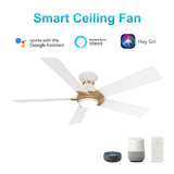 Ascender 52 Inch 5 Blade Flush Mount Smart Ceiling Fan With Led Light Remote Control Black Black Gold Rim