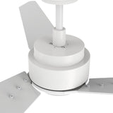 CALEN 56 In 3 Blade Smart Ceiling Fan With Integrated LED Lights With Google Home