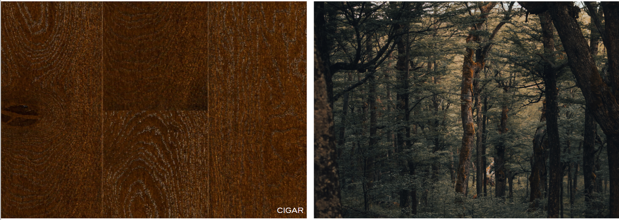 RIVA FLOORS - MAX CHARACTER - Cigar 10"W Plank - 8' LENGTHS - SF