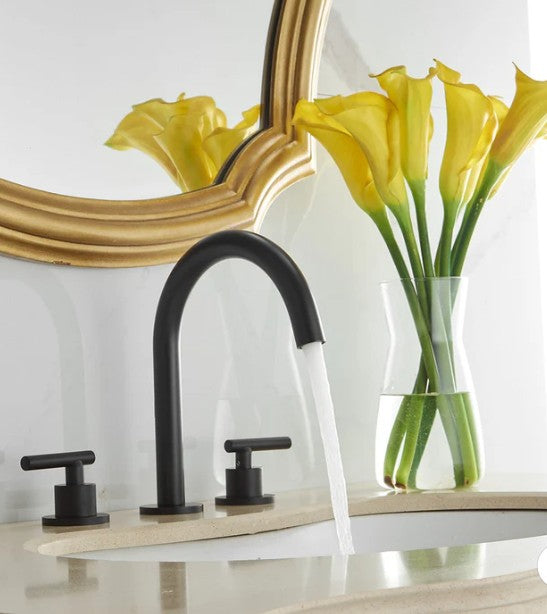 Wellfor Bathroom Faucet - 8 in. Widespread Double Handle Bathroom Faucet With Pop-up Drain Assembly in Matte Black -  A-916441-Black