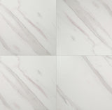 MSI TILE - PIETRA CALACATTA 24X24 MATTE  - NCAL2424-N
