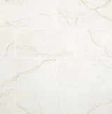 MSI Tile - Brighton - Gold - Matte - 24x48 - 16 sf per box - NBRIGOL2448