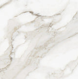 Majesto Calacatta Oro 24x24 - Honed Rectified Colorsync Porcelain -11.52 sf per case 8500-0226-0