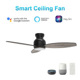 Trendsetter Black 3 Blade Smart Ceiling Fan with Dimmable LED Light Kit Works with Remote Control, Wi-Fi apps and Voice control via Google Assistant/Alexa/Siri