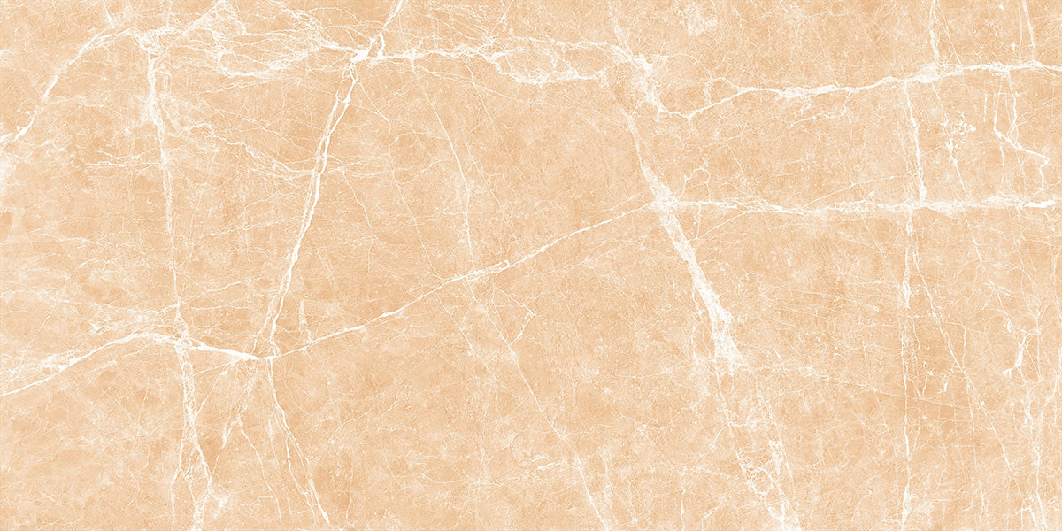 Terre Beige Polished - Porcelain - Wall & Floor Tile