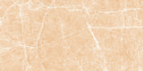 Terre Beige Polished - Porcelain - Wall & Floor Tile