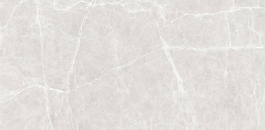 24 In. X 48 In. Terre White  Polished - Porcelain - Wall & Floor Tile (15.50 Sqft/Case)