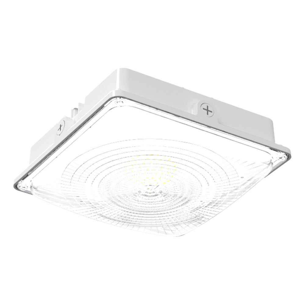 LED Canopy Light 35W 5700K- White Color