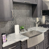 ZLINE 30 in. Zermatt Farmhouse Apron Mount Single Bowl Stainless Steel Kitchen Sink with Bottom Grid (SAS-30)