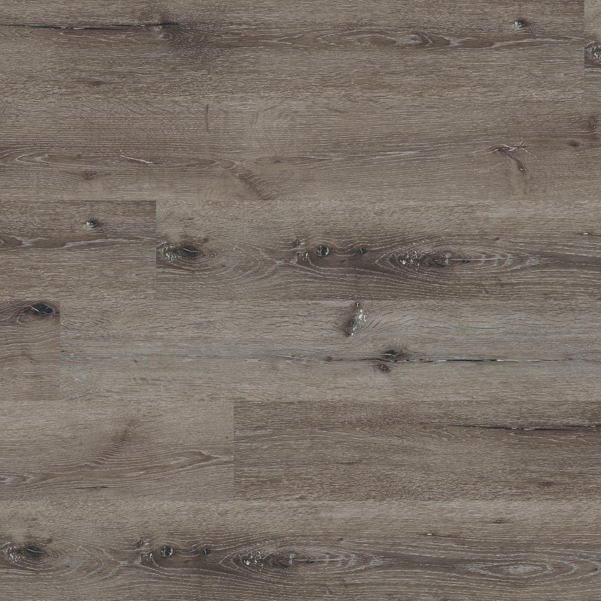 Ackland Parkland Eastern Ash vinyl plank