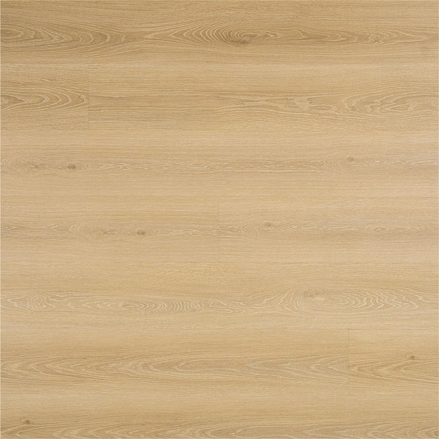 Ackland Parkland Sunspring vinyl plank