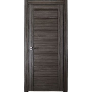 Alda Interior Door in Gray Oak Finish