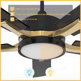 Appleton 52" In. Black/Black (Gold Detail) 5 Blade Smart Ceiling Fan with LED Light Kit Works with Led Light Kit & Remote Control - BUILDMYPLACE