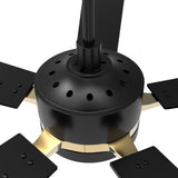 Appleton 52" In. Black/Black (Gold Detail) 5 Blade Smart Ceiling Fan with LED Light Kit Works with Led Light Kit & Remote Control - BUILDMYPLACE