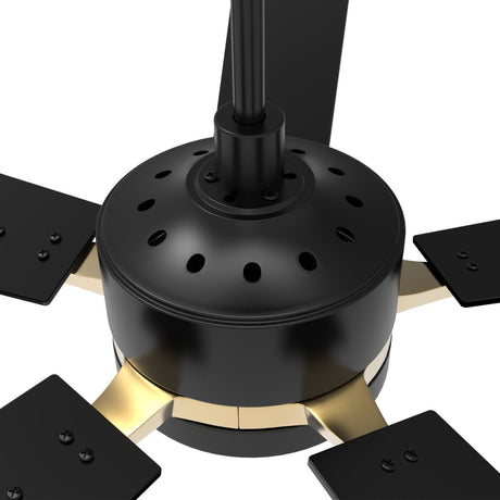 Appleton 52" In. Black/Black (Gold Detail) 5 Blade Smart Ceiling Fan with LED Light Kit Works with Led Light Kit & Remote Control - BUILDMYPLACE