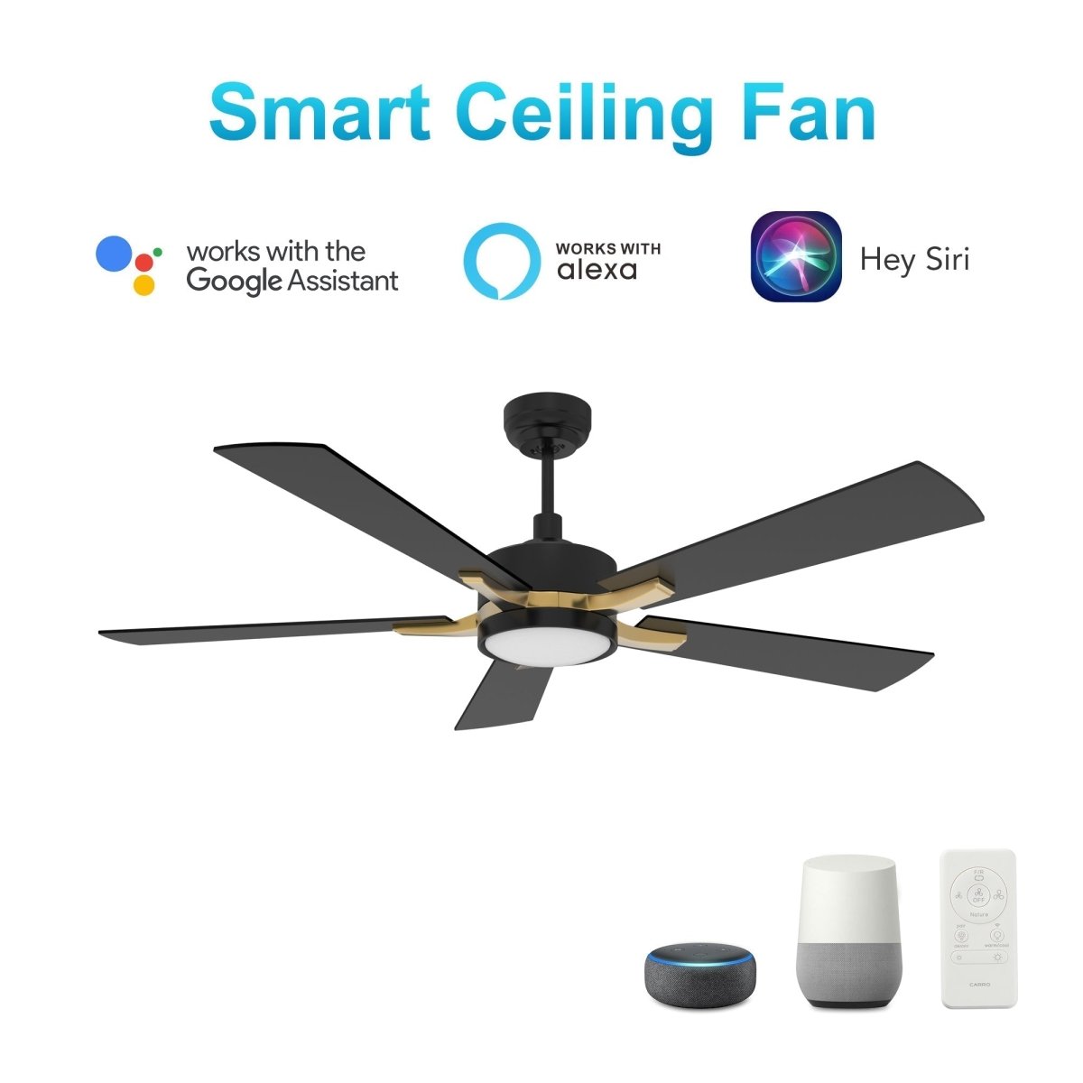 Appleton 52" In. Black/Black (Gold Detail) 5 Blade Smart Ceiling Fan with LED Light Kit Works with Led Light Kit & Remote Control - BUILDMYPLACE