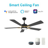 Appleton 52 Inch 5 - Blade Best Smart Ceiling Fan With Led Light Kit & Remote Control - Black/Black (Gold Detail) - LEDMyPlace