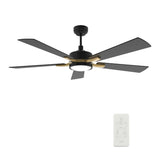 APPLETON 52 inch 5 - Blade Smart Ceiling Fan with LED Light Kit & Remote - LEDMyPlace