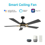 APPLETON 52 inch 5 - Blade Smart Ceiling Fan with LED Light Kit & Remote - LEDMyPlace
