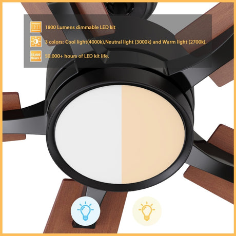 APPLETON 52 inch 5 - Blade Smart Ceiling Fan with LED Light & Remote - LEDMyPlace