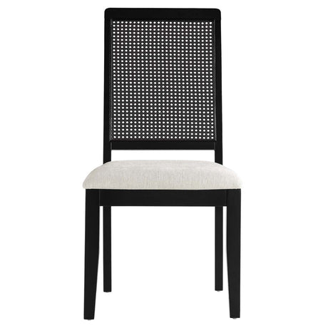 Arlo Faux Rattan and Wood Dining Side Chairs - Set of 2 - BUILDMYPLACE