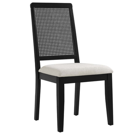 Arlo Faux Rattan and Wood Dining Side Chairs - Set of 2 - BUILDMYPLACE