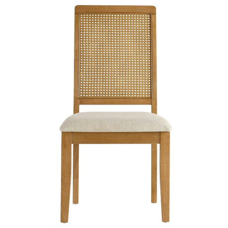 Arlo Faux Rattan and Wood Dining Side Chairs - Set of 2 - BUILDMYPLACE