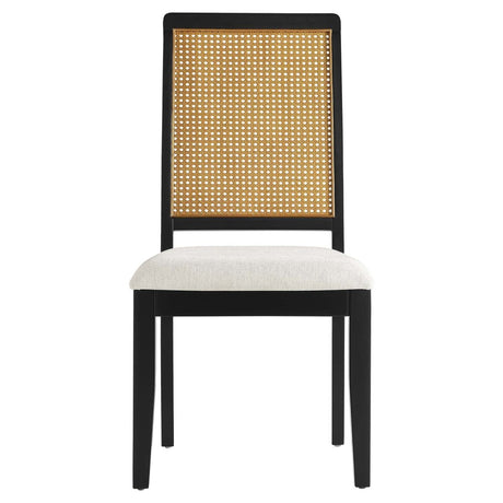 Arlo Faux Rattan and Wood Dining Side Chairs - Set of 2 - BUILDMYPLACE
