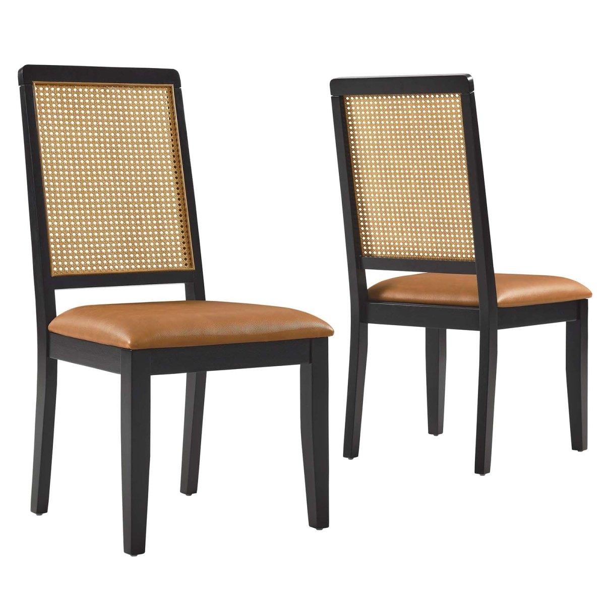 Arlo Vegan Leather Upholstered Faux Rattan and Wood Dining Side Chairs - Set of 2 - BUILDMYPLACE