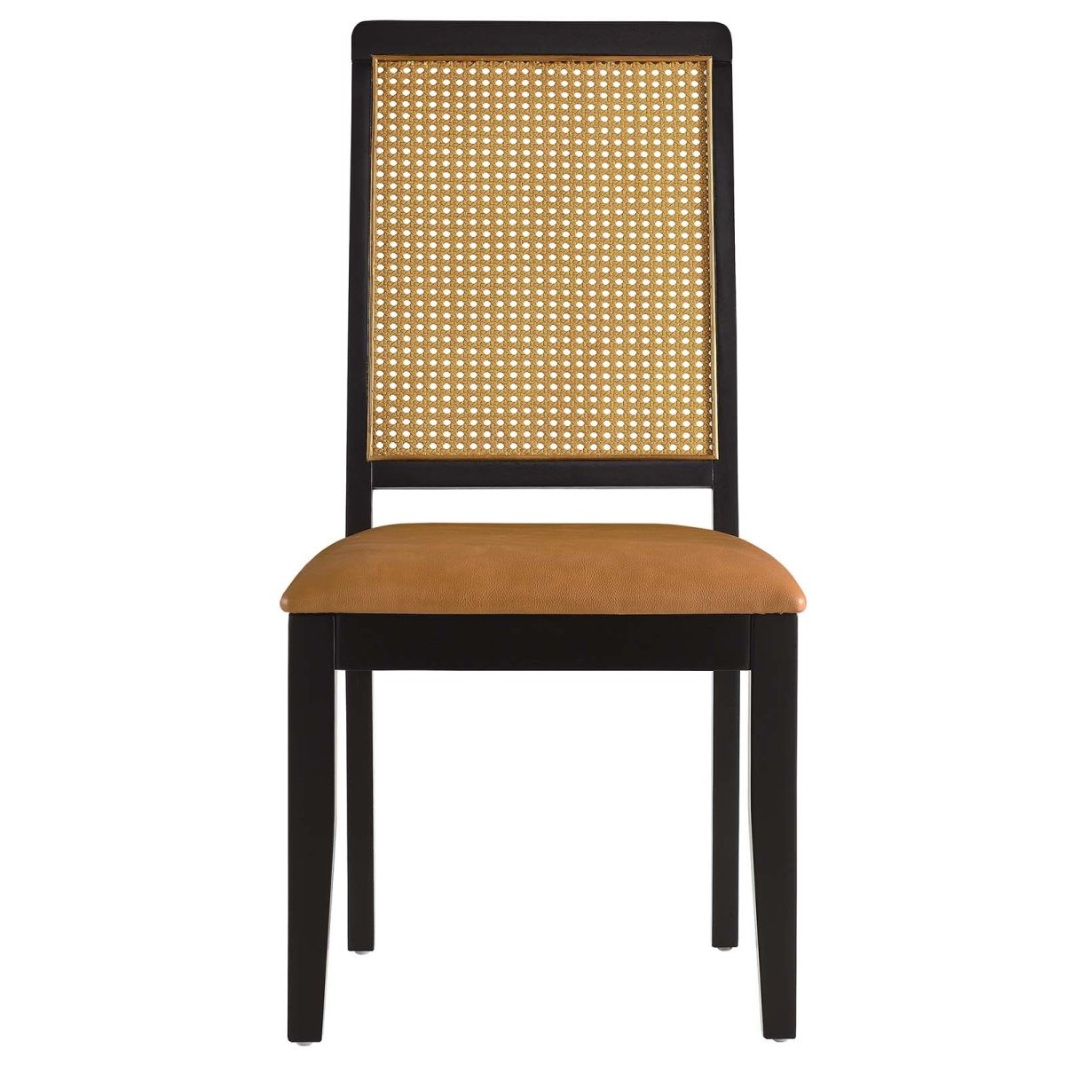 Arlo Vegan Leather Upholstered Faux Rattan and Wood Dining Side Chairs - Set of 2 - BUILDMYPLACE